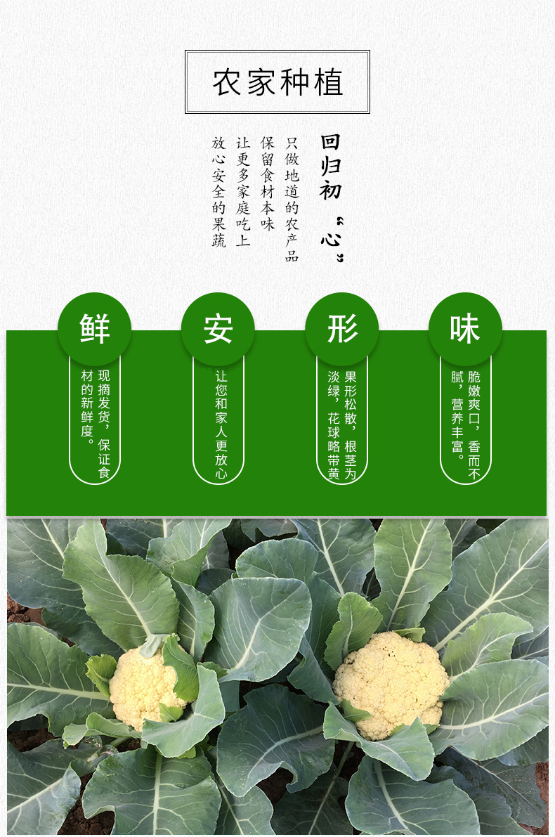 现摘现发新鲜到家密云馆绿梗散菜花时令花椰菜农家蔬菜农家肥新鲜菜花