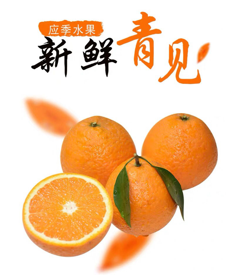 【坏果包赔】现摘四川青见当季新鲜孕妇水果桔子橘子2/5/10斤非果冻橙