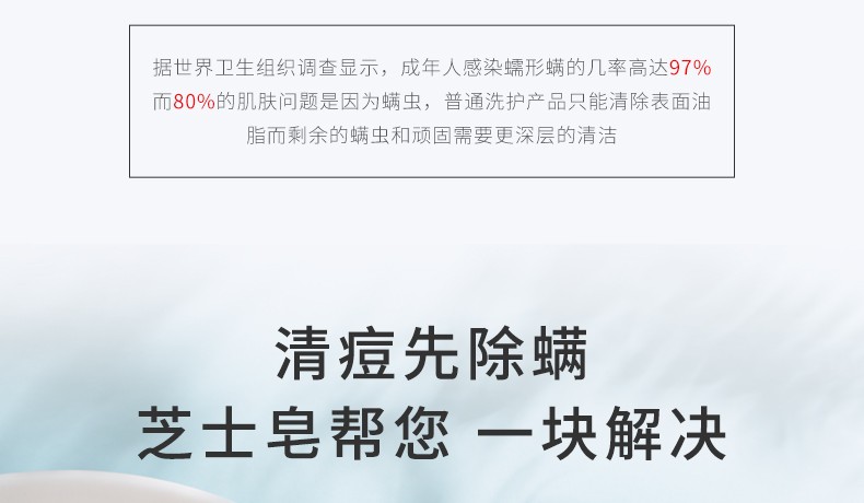 雪玲妃芝士皂海盐除螨净痘皂男女士洗脸洗澡拉丝除痘祛痘洁面去螨虫香皂学生手工肥皂 100g 一盒