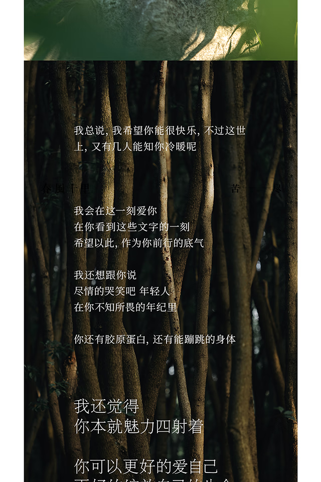 春风十里苦尽男女士香水寺庙香持久淡香夏天学生小众送老婆男友生日礼物 50ml棕色