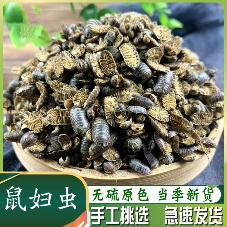 伟博 鼠妇虫 中药材鼠妇虫鼠妇虫地虱湿虫潮虫西