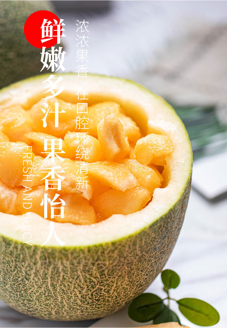 新疆哈密瓜西州蜜网纹瓜甜瓜新鲜水果晓蜜瓜 2-3个装【带箱5-5.5斤】