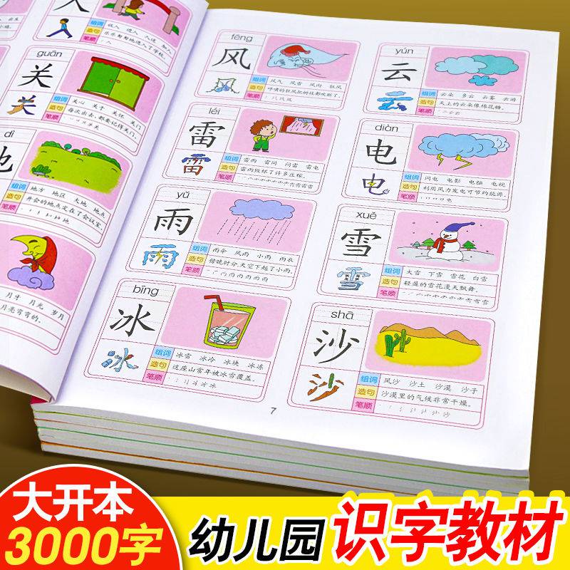 识字大王幼儿园3000字识字大全看图识字卡片学前认字宝宝早教儿童老师