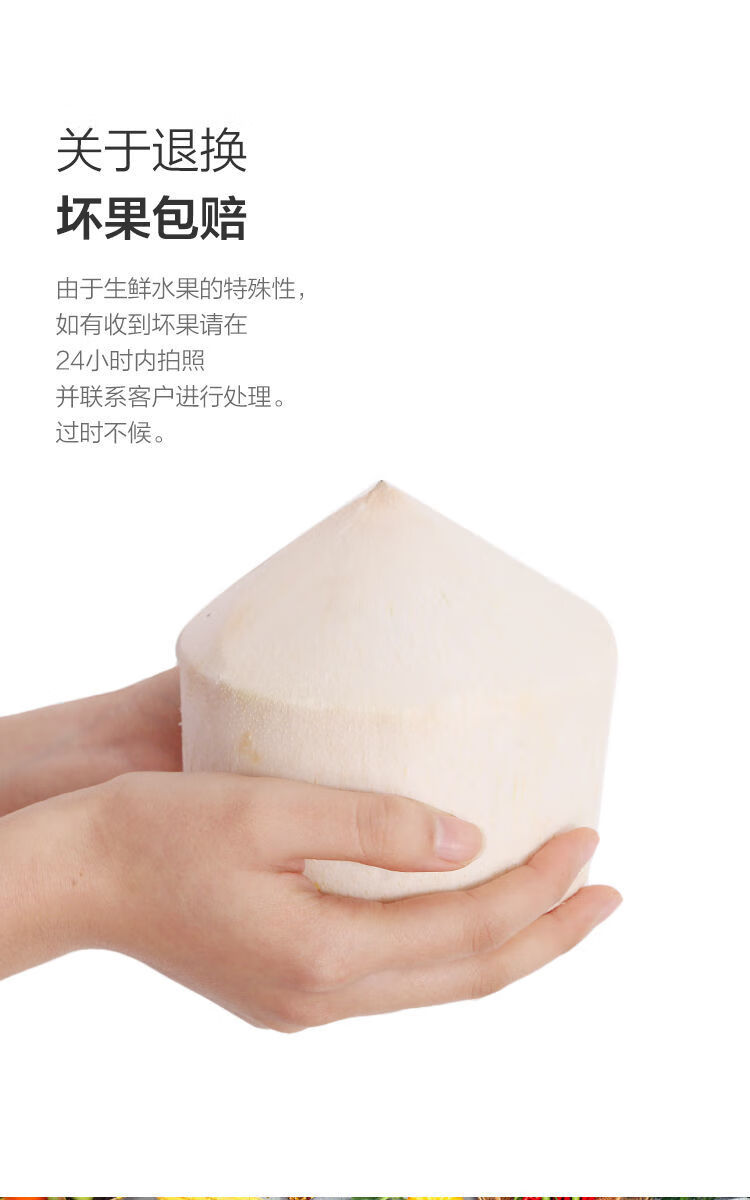泰国椰青正宗奶香椰子 新鲜水果餸开椰器吸管 2个【单果700-800g】