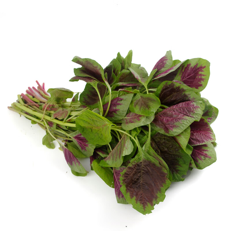 红苋菜新鲜蔬菜农家自种红米苋 红旱菜 红汉菜农家野菜 1500g