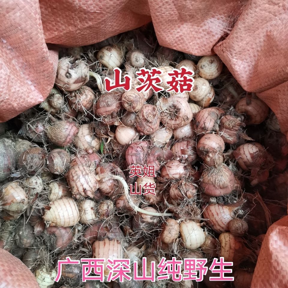 中药材山慈菇 山茨菇算盘七 冰球子广西野生500g(鲜货 1斤