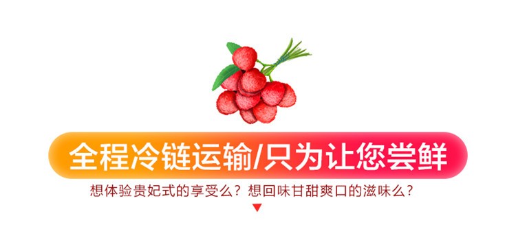 百觅 海南荔枝 新鲜水果  妃子笑荔枝4.5-5斤 JD冷链 现货直发