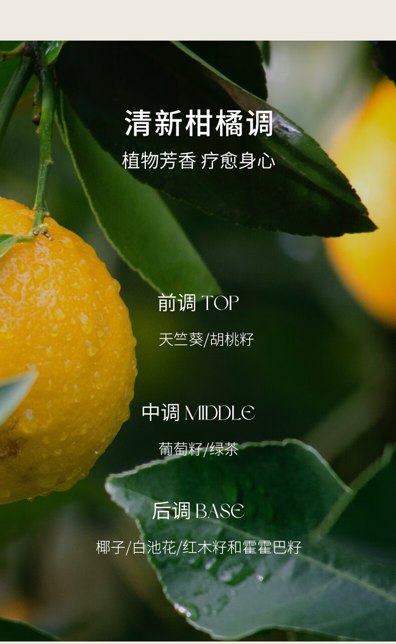 皙阁（XIGE NATURE） 皙阁XIGE红木籽油按摩全身通经络紧致面部精油养肤油 红木籽油100ml