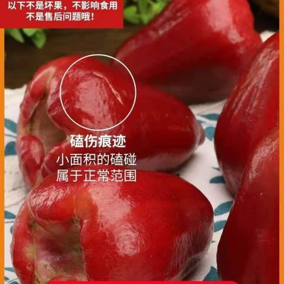 海南黑金刚莲雾5斤特产热带进口水果泰国莲雾果批发1斤整箱 莲雾3斤