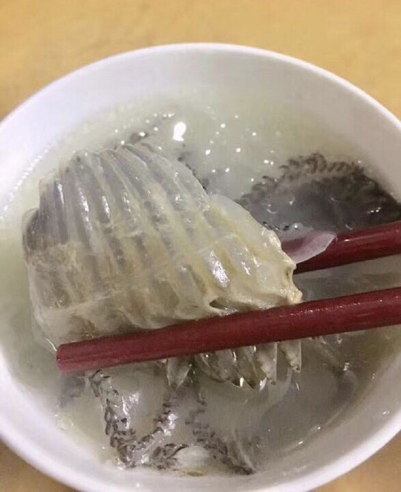 特大号深海鱼鳃鹏鱼彭鱼干货海产品腮部足干虾彭腮鱼腮100500克100克