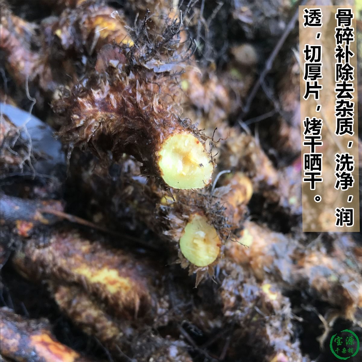 伟博骨碎补中药骨碎补野生新鲜广西野生天然爬岩姜石岩姜粉滋补泡酒料