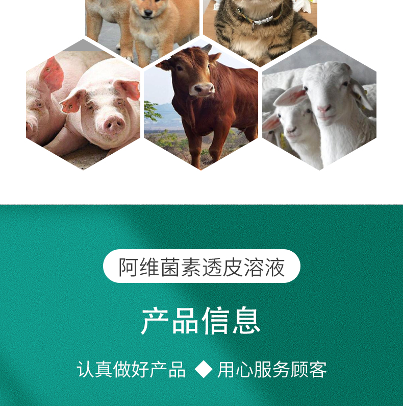 佰泰康兽药阿维菌素透皮溶液猪牛羊犬猫兔内外一体驱虫药疥螨蜱虫虱子