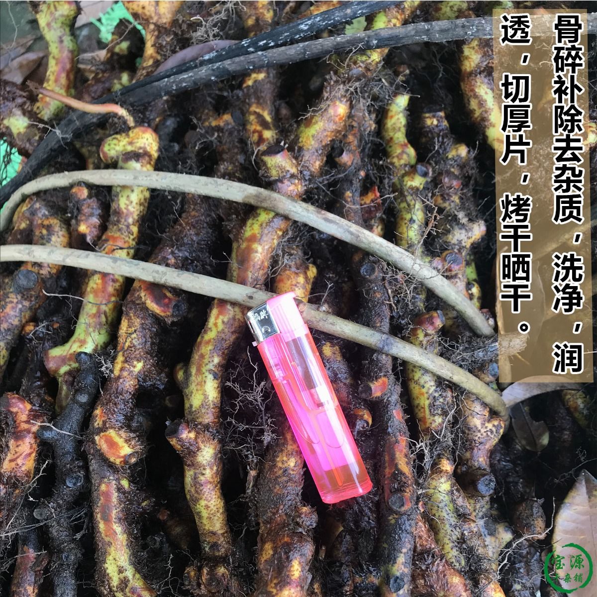 伟博骨碎补中药骨碎补野生新鲜广西野生天然爬岩姜石岩姜粉滋补泡酒料