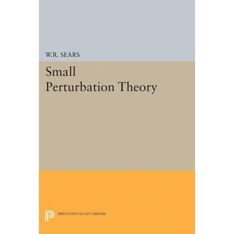 按需印刷Small Perturbation Theory[9780691626024]