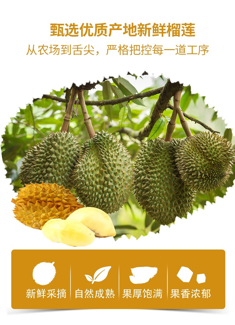 泰国金枕头榴莲干冻干榴莲干休闲零食水果干网红小吃 榴莲干 毛重210g