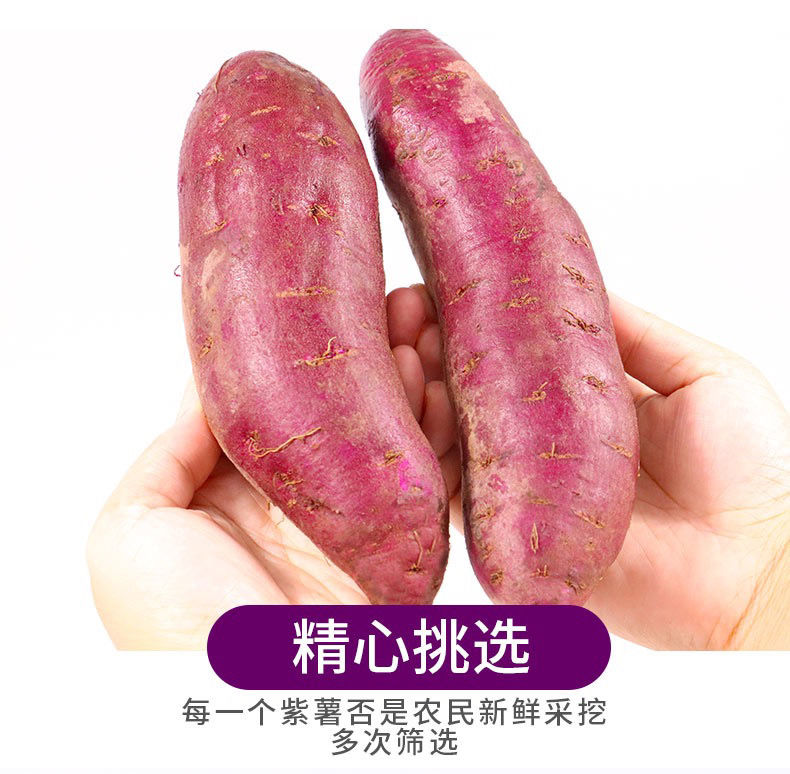 精选生鲜紫薯批发10斤紫薯新鲜小紫薯番薯地瓜板栗紫薯紫山芋5斤超市