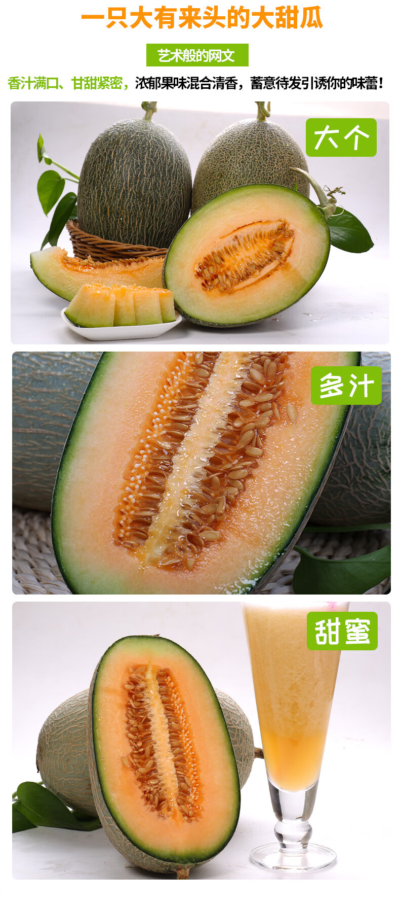 山东哈密瓜西州蜜晓蜜25号蜜瓜2500g装当季新鲜水果哈密瓜5斤装净果