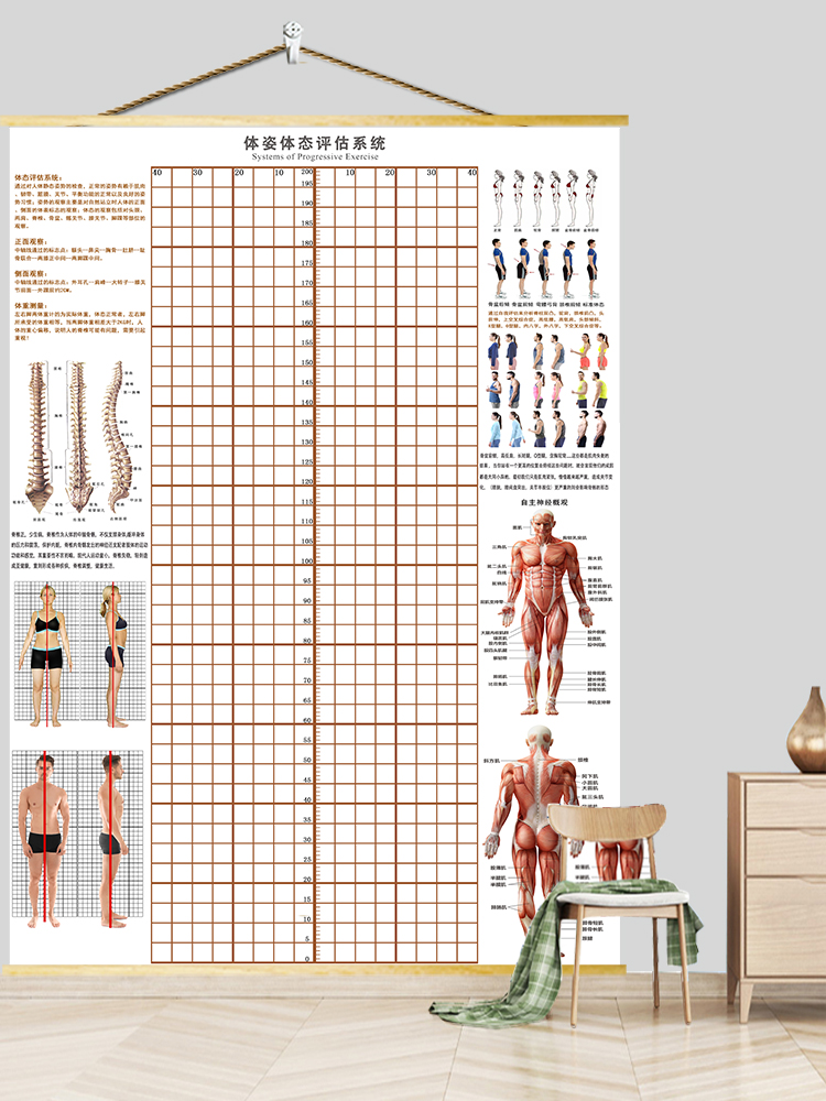 现货体态评估图瑜伽 体姿体态评估系统中医理疗馆脊椎姿势对比图 黑宽