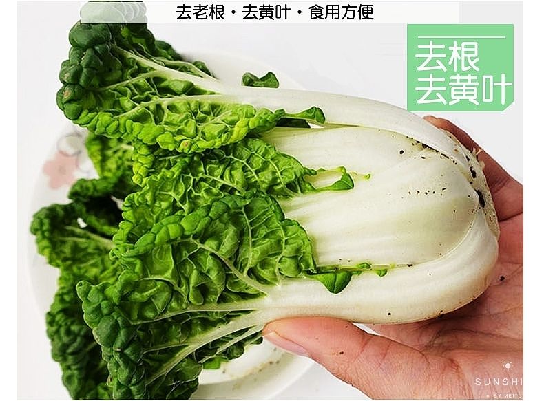 黄心乌现挖新鲜黄心菜塌地乌黄心菊花菜乌塌菜皱叶小白菜农家蔬菜3斤