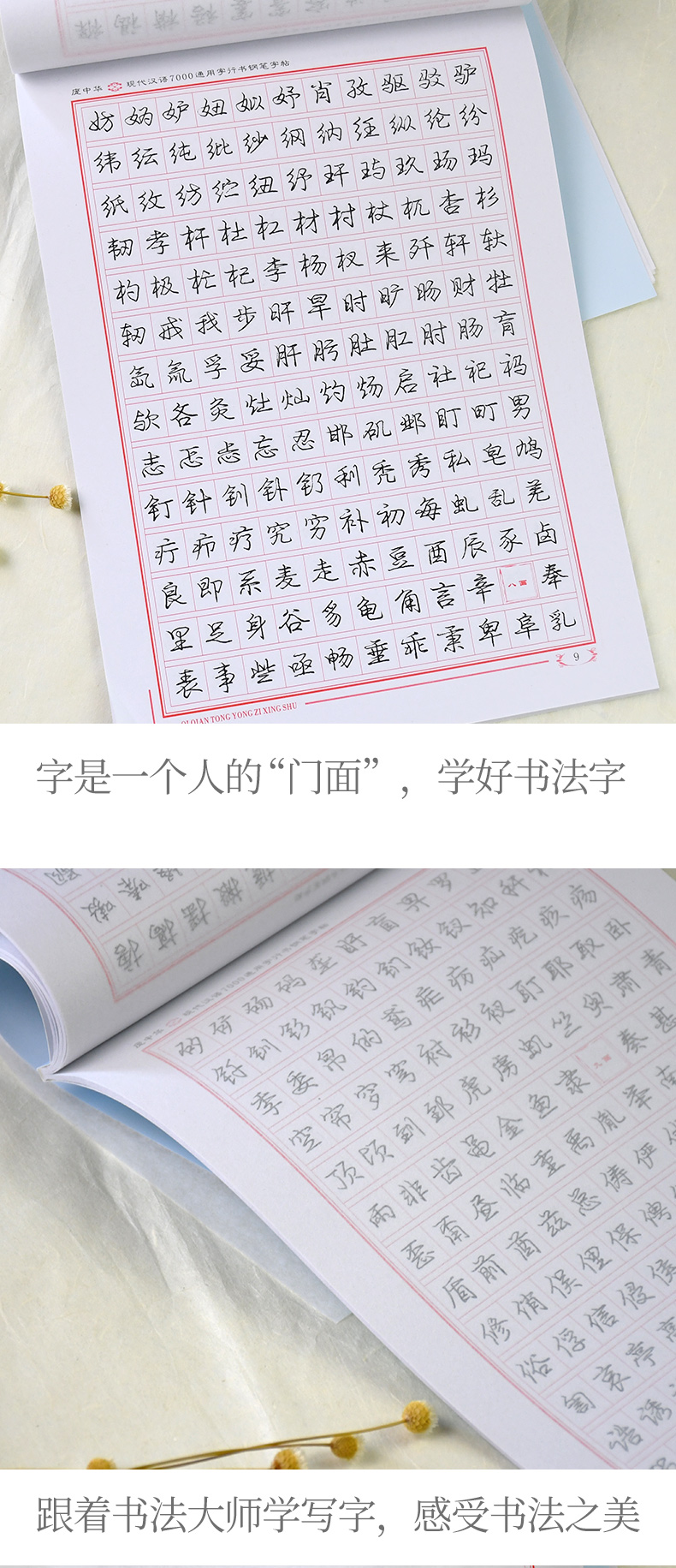 庞中华行书字帖现代汉语7000通用字学生硬笔钢笔临摹练字帖