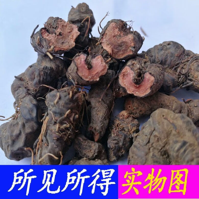 有仁堂化骨莲草河车蚤休拳参新货干化骨莲泡酒料500g优惠装