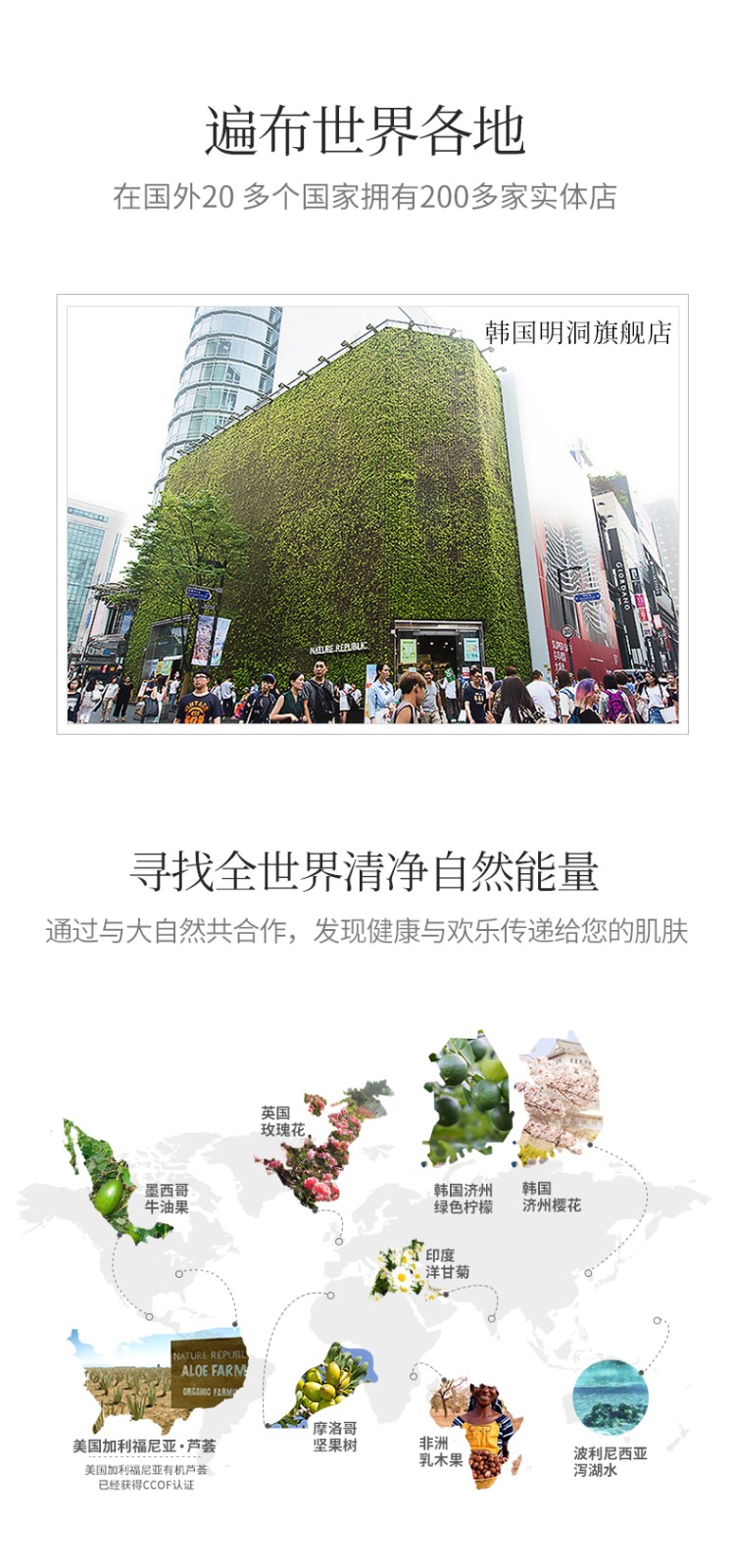 自然乐园（NATURE REPUBLIC） 草本芦荟洗面奶自然共和国洁面乳控油补水温和不刺激男女适用 草本芦荟170ml