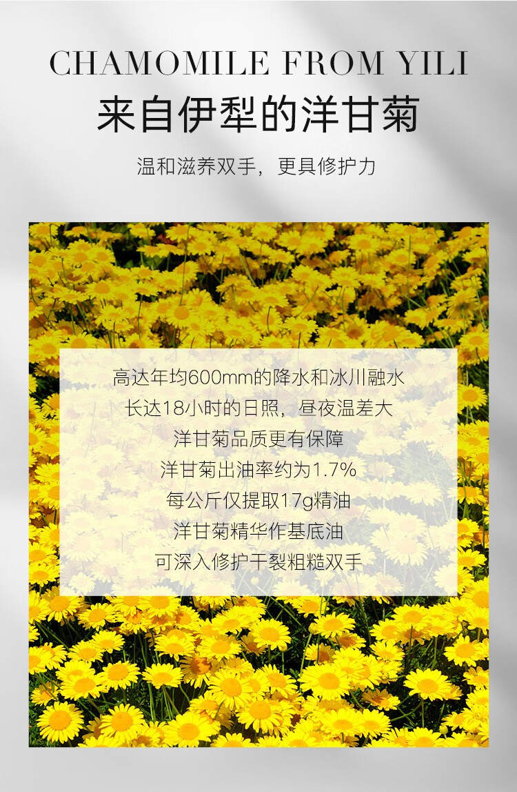 慕斯女孩 烟酰胺洋甘菊护手霜滋润嫩肤不油腻补水保湿护手霜护肤品 烟酰胺护手霜1瓶