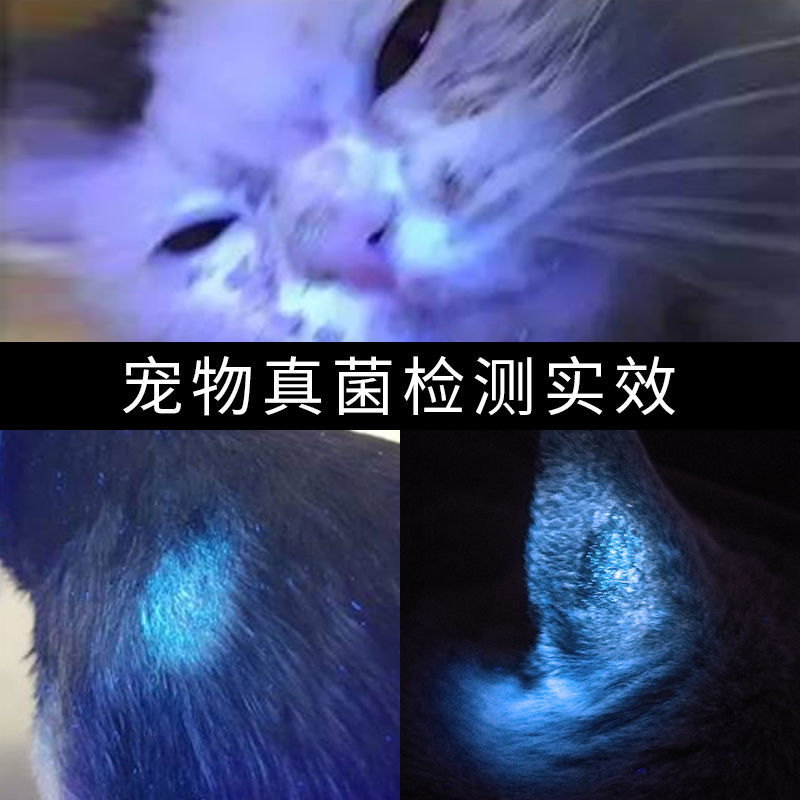 伍德氏灯照猫藓灯宠物真菌检测手电筒紫外线荧光剂紫光灯宠物生病白光