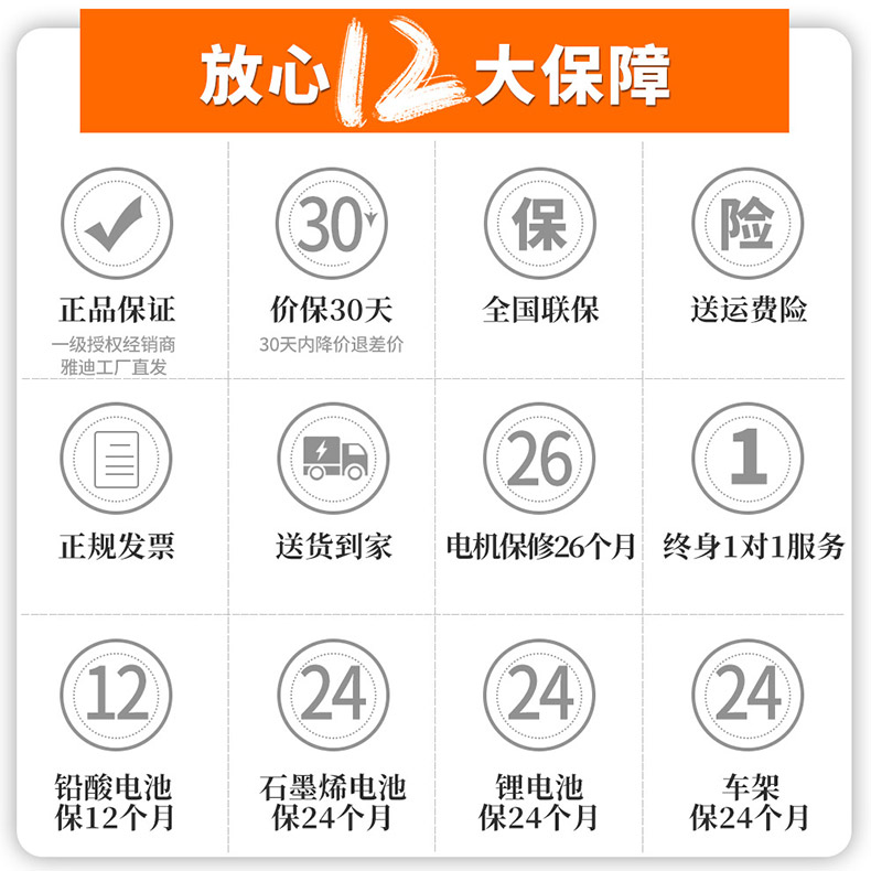 雅迪de2新国标电动自行车可上牌48v24ah锂电池电动车100公里长续航