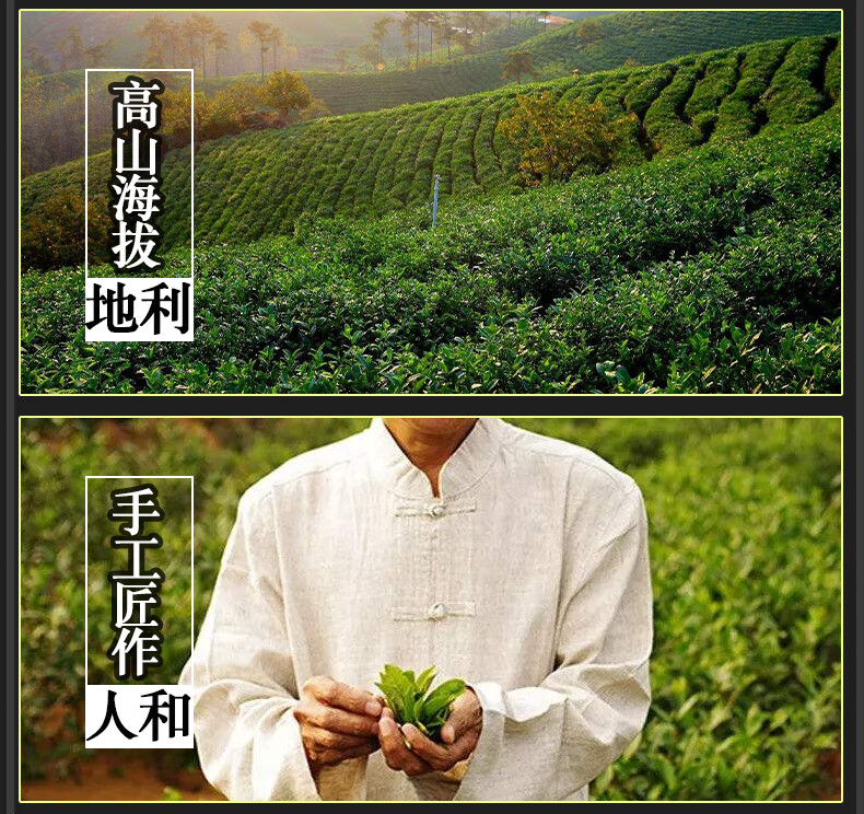 12，Derenruyu2022新茶濃香茉莉花茶500尅罐裝茉莉龍珠香茶葉散裝花草茶葉綠茶 茉莉茉莉花茶50g(入門口感)