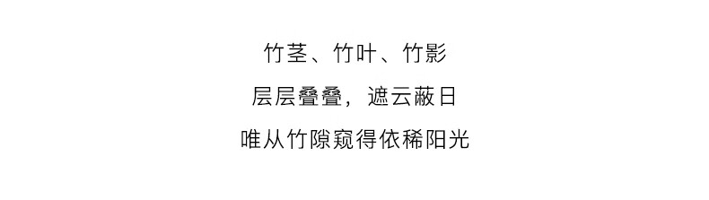 法颂 送礼物 万顷竹海沙龙香清新竹香自然淡雅男士香自用香60ml 万顷竹海