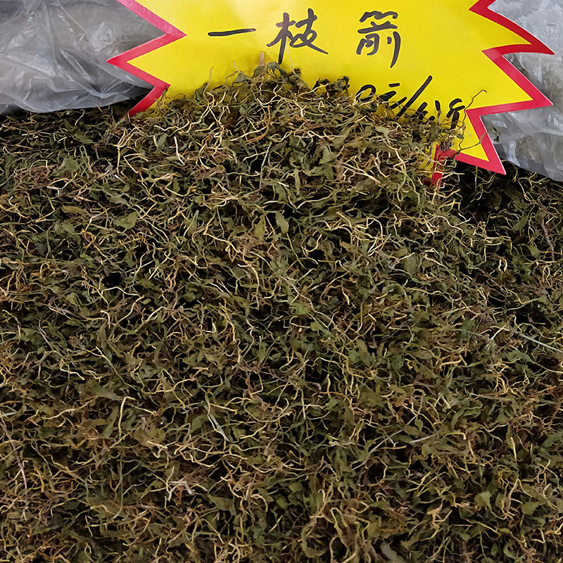 伟博云南一枝箭中药材瓶尔小草一支箭干货青藤蛇咬子 野生一支箭100g