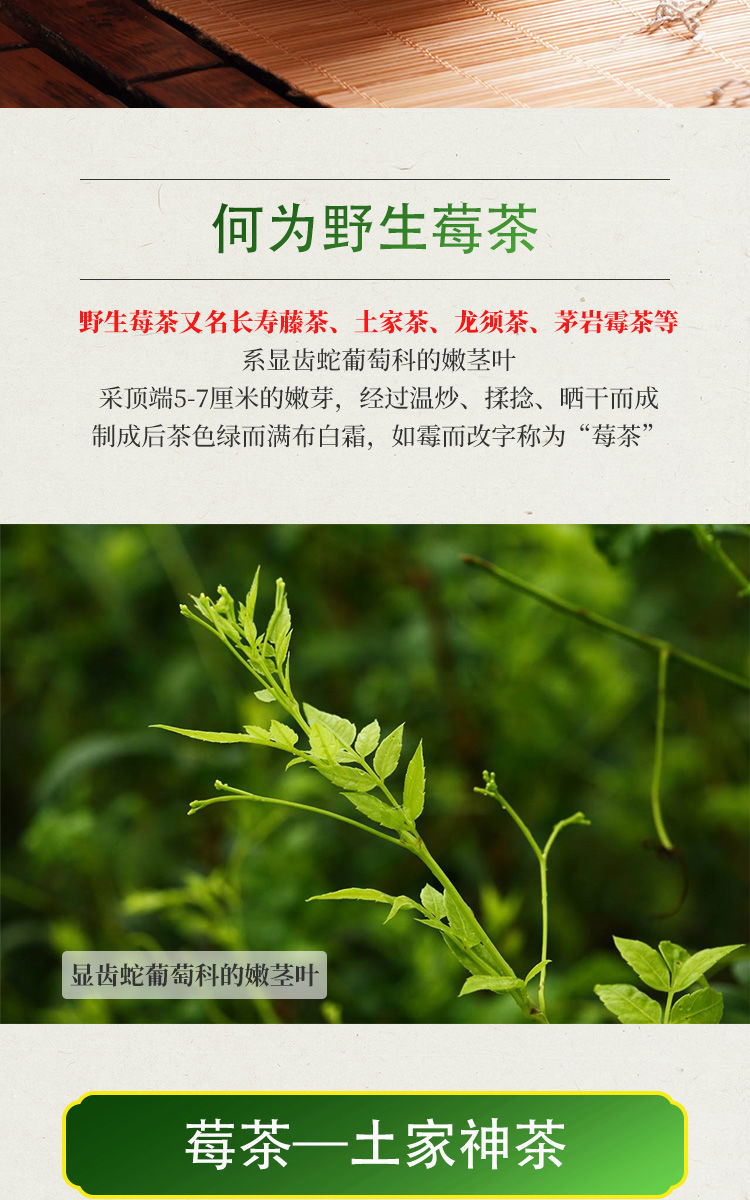 龙须芽尖养生土家茶新茶青安莓茶富硒藤茶一罐野生龙须牙尖莓茶42g