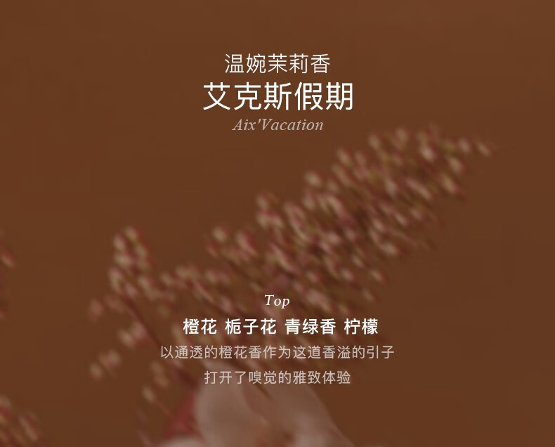 独特艾琳（Dear lrean）烟酰胺手膜精油 保湿补水淡细纹嫩白去死皮老茧滋润双手部护理 艾克斯假期香氛手膜（5片装）
