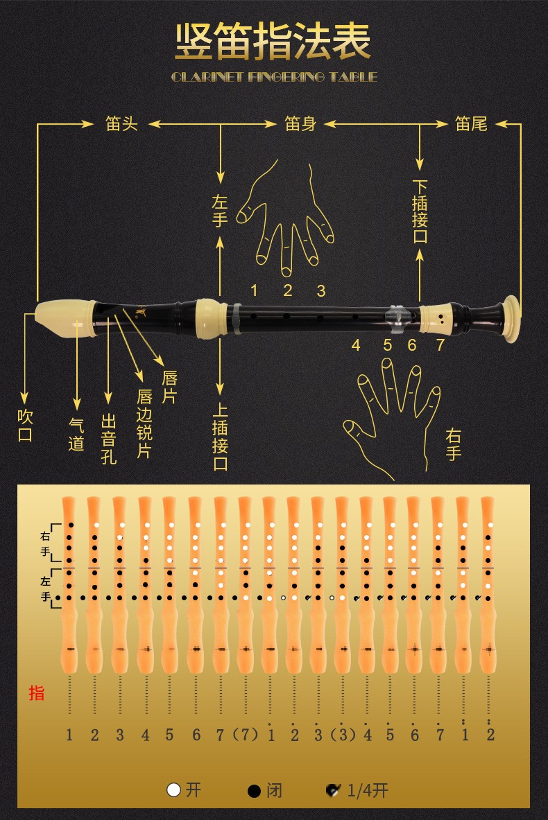 奇美中音英式八孔竖笛f调巴洛克8孔高音德式g调中小学生笛子乐器竖笛