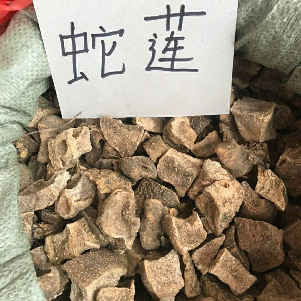 蛇莲中药材雪胆片野生曲莲罗锅底苦金盆蛇莲金龟莲中草药新货新货5克