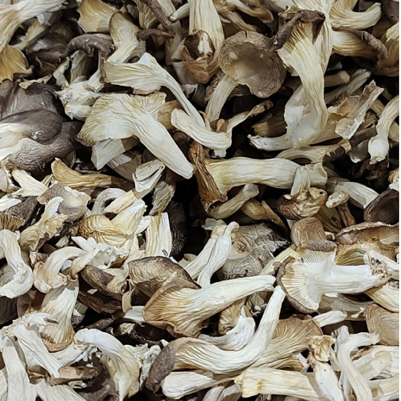 新货凤尾菇平菇干货250g500g干秀珍菇食用菌干蘑菇片煲汤火锅菌菇新货