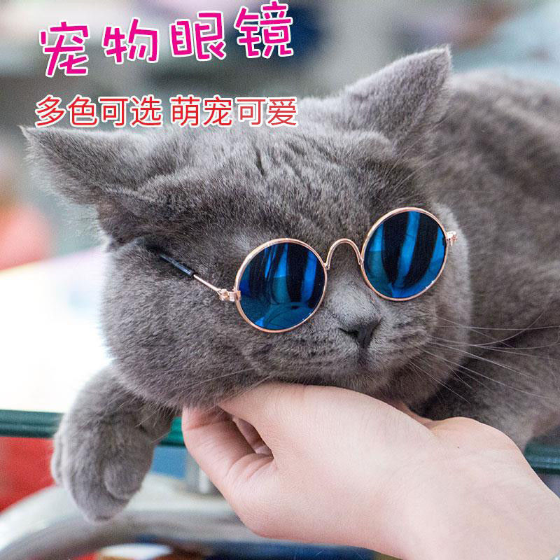 京选推荐猫咪狗狗衣服薄款英短蓝猫小奶猫防掉毛可爱网红抖音同款宠物