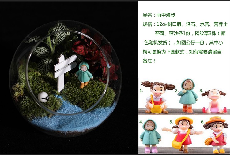 苔藓微景观生态瓶植物多肉盆栽diy材料包桌面玻璃小摆件组合润景守候