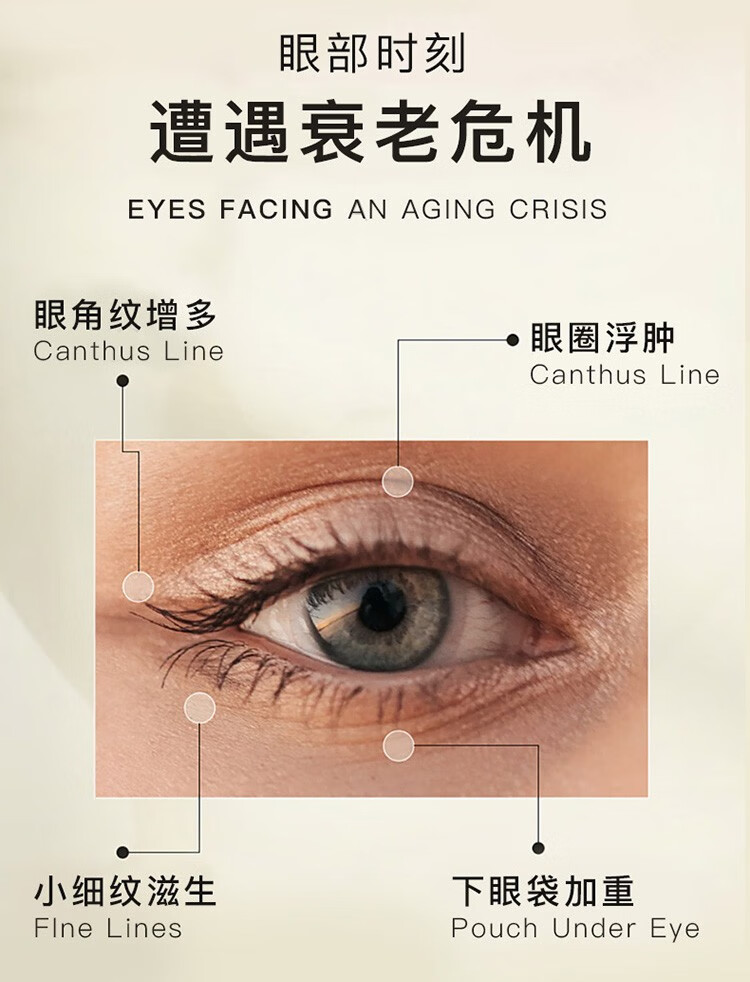 ZRZR逆时光抗皱淡纹眼部精华油10ml眼部护理按摩油淡化细纹配按摩棒 新款1瓶