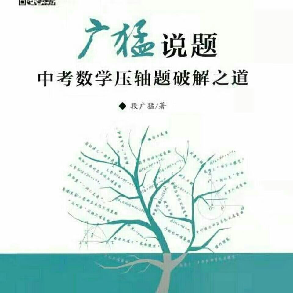 广猛说题习题集中考数学段广猛著原版黑印刷习题答案与反思