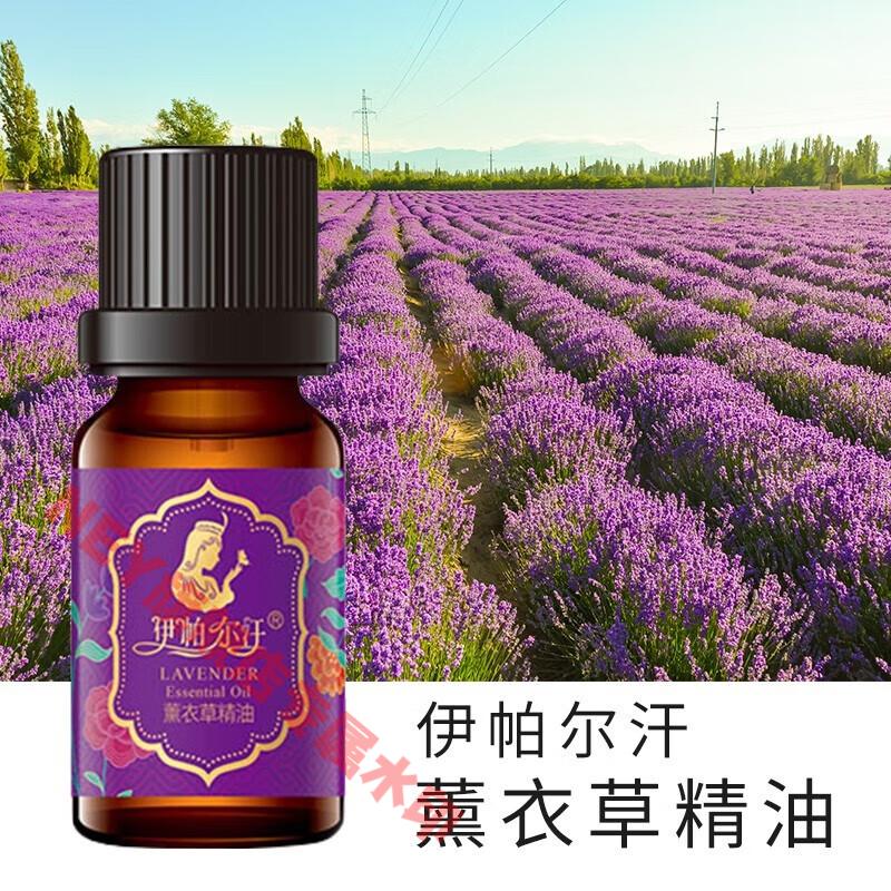 TITIAN【官方】伊帕尔汗薰衣草精油 玫瑰单方精油官方礼盒 薰衣草精油30ml