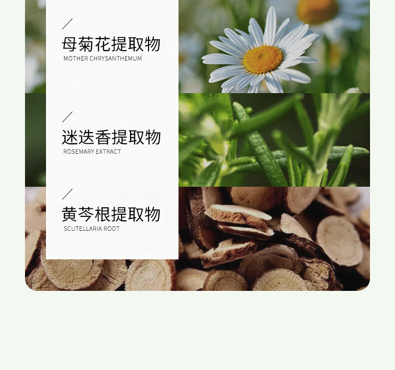 冰菊（Bing Ju）芦荟植萃保湿面膜精华润肤提亮补水保湿 40片/片装
