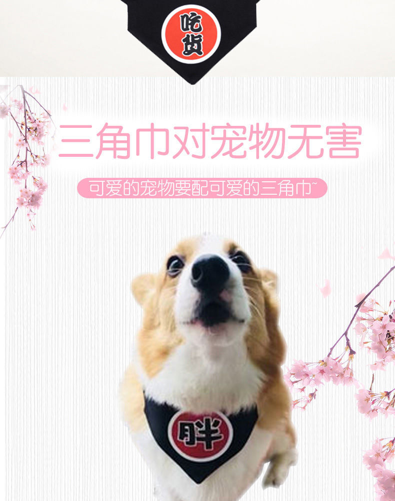 宠物猫咪狗狗三角巾口水巾文字围巾围脖萌宠用品饰品新款狗狗用品