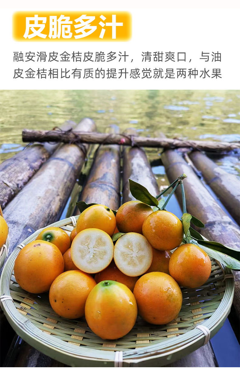 顺丰直达脆蜜金柑广西融安金桔滑皮金桔当季新鲜孕妇水果脆皮金橘脆蜜