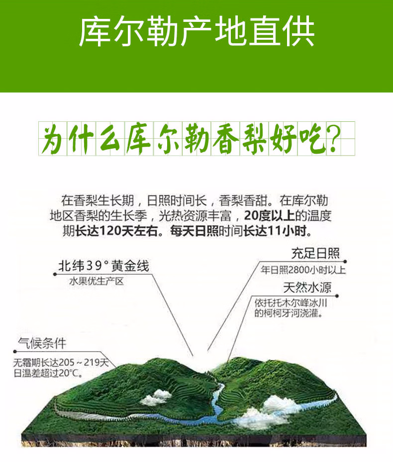 4277997f554c992c.jpg.avif