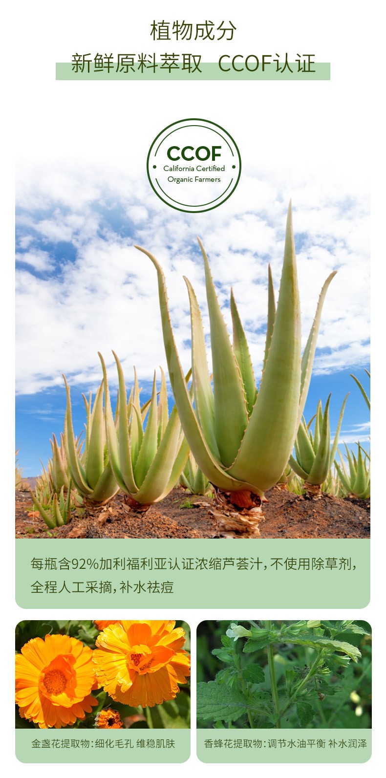 自然乐园（NATURE REPUBLIC） 芦荟保湿补水喷雾爽肤水油护肤晒后修护清爽不油腻 155ml