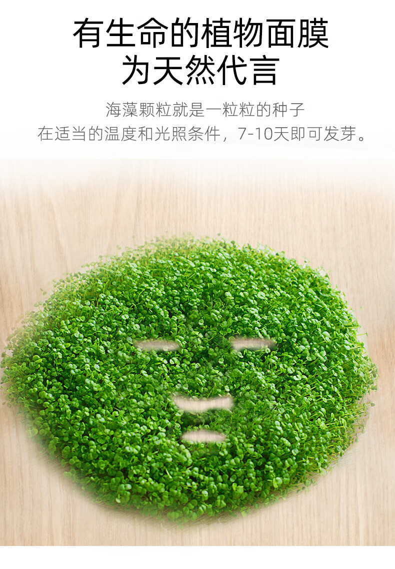 黎漾小颗粒纯海藻面膜颗粒天然补水面膜高出胶免洗敏感肌美容院专用 海藻面膜(650g)贈工具+1瓶正装