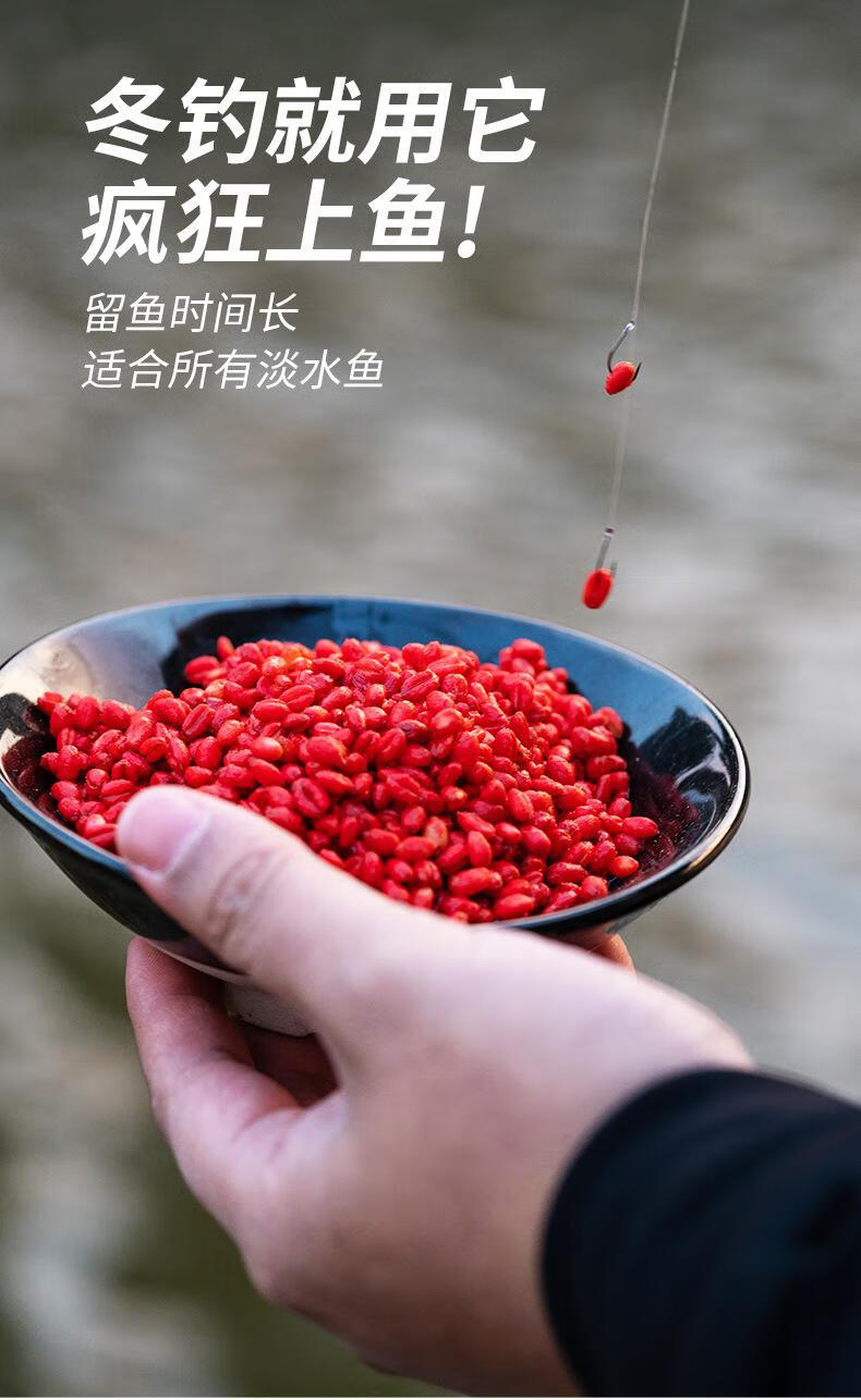 6，穀麥釣血麥粒顆粒魚料魚食野釣黑坑鯉魚青魚釣 紅蟲血麥【100尅】約1000粒