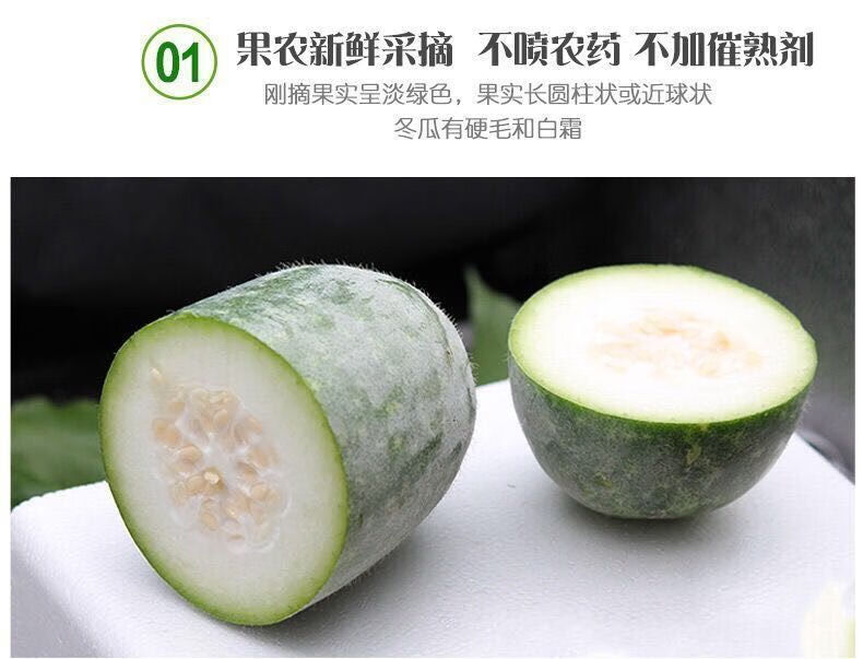 新鲜迷你水果小冬瓜香冬瓜批发挂霜白皮绿色蔬菜毛冬瓜9斤到10斤净重
